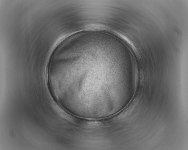 X0000111671467200907311148