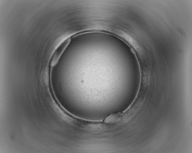 X0000111671468200907311148