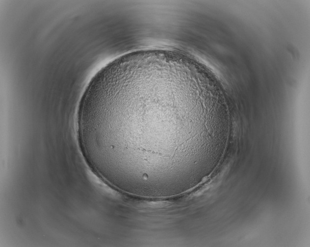 X0000111671471200907311148