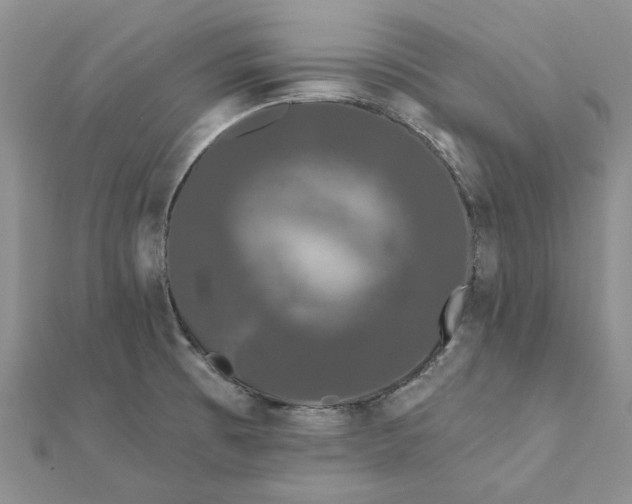 X0000111671473200907311148