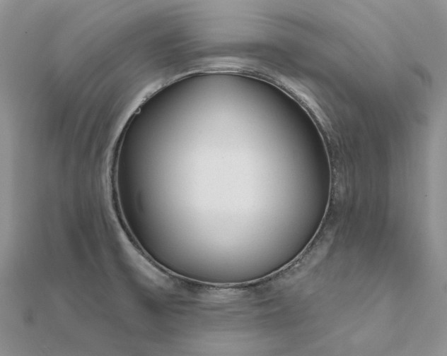 X0000111671475200907311148