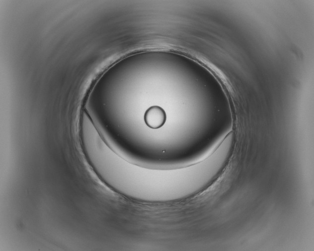 X0000111671477200907311148