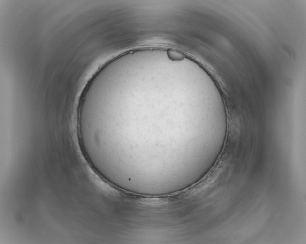 X0000111671478200907311148