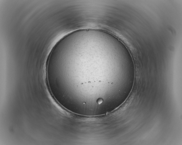 X0000111671479200907311148