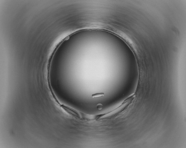 X0000111671480200907311148