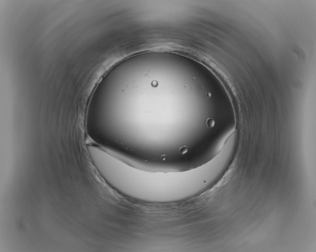 X0000111671481200907311148