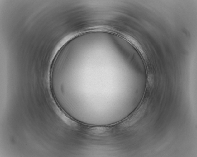 X0000111671482200907311148