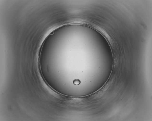 X0000111671483200907311148