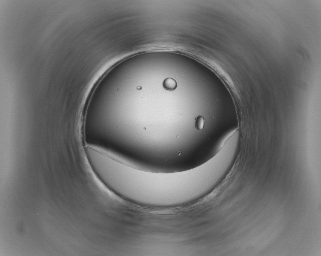 X0000111671484200907311148