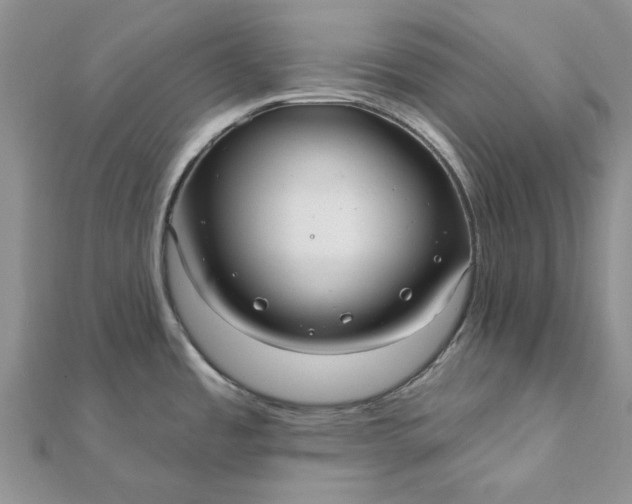 X0000111671485200907311148