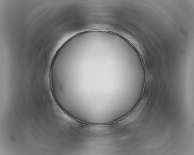 X0000111671486200907311148