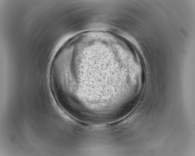 X0000111671488200907311148