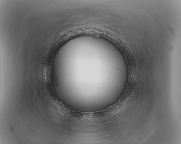 X0000111671490200907311147