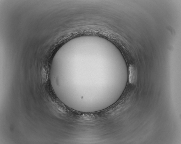 X0000111671491200907311147