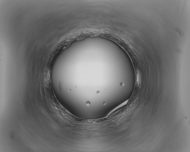 X0000111671492200907311147