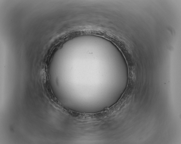 X0000111671493200907311147