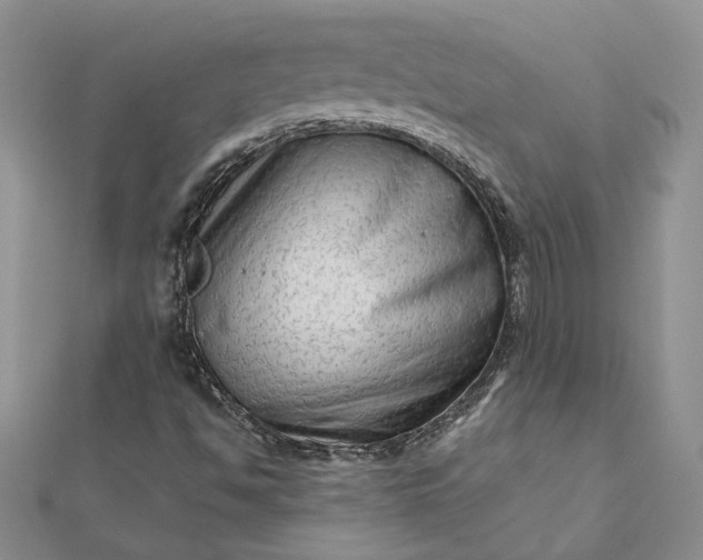 X0000111671494200907311147