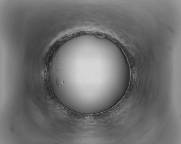 X0000111671495200907311147