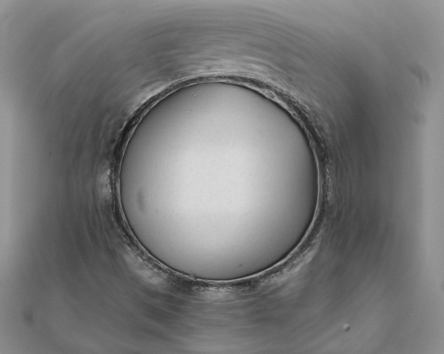 X0000111671497200907311147