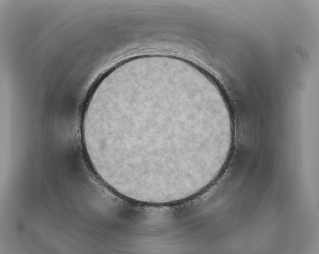 X0000111671498200907311147