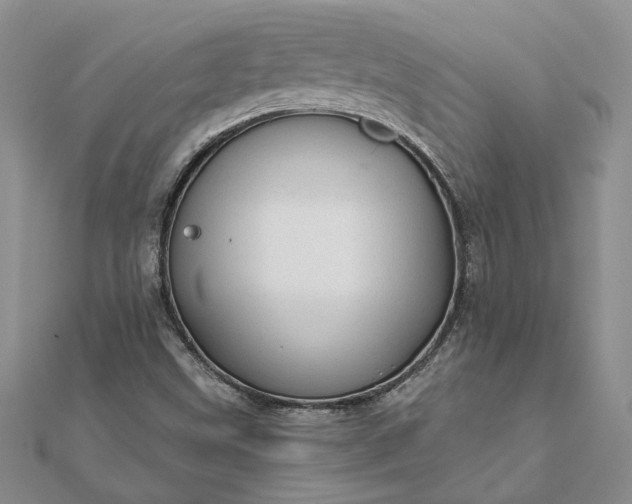 X0000111671499200907311147