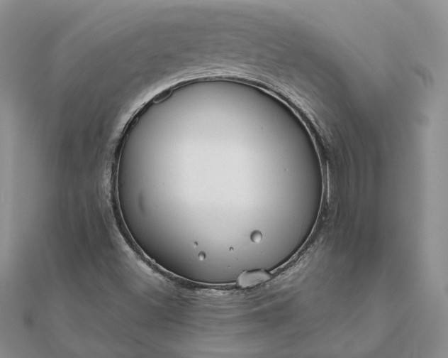 X0000111671500200907311148