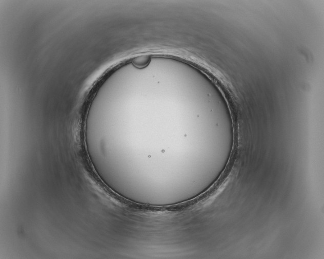 X0000111671502200907311148