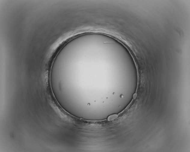 X0000111671503200907311148