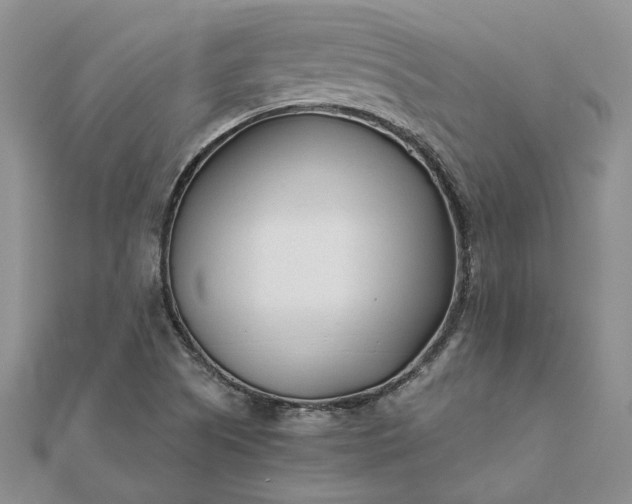 X0000111671505200907311148