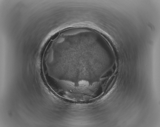 X0000111671506200907311148