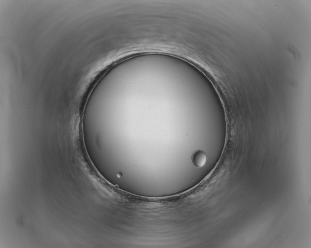 X0000111671507200907311148