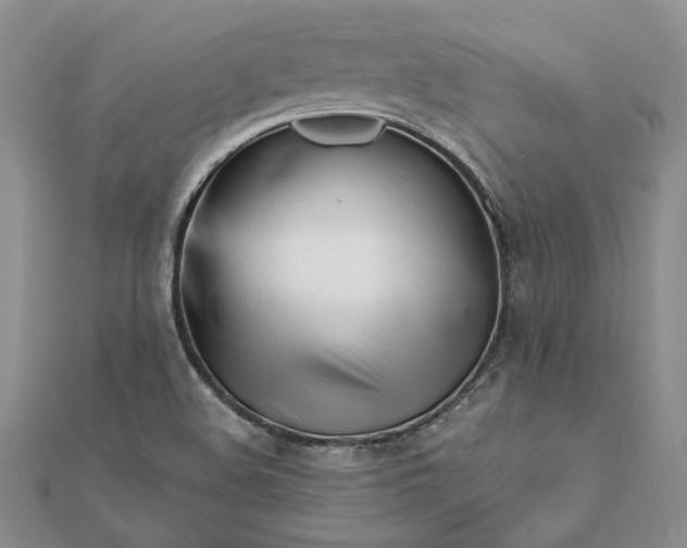 X0000111671508200907311148