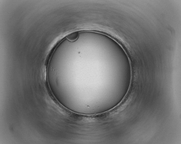 X0000111671509200907311148