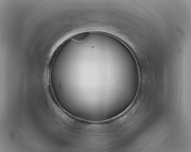 X0000111671510200907311148