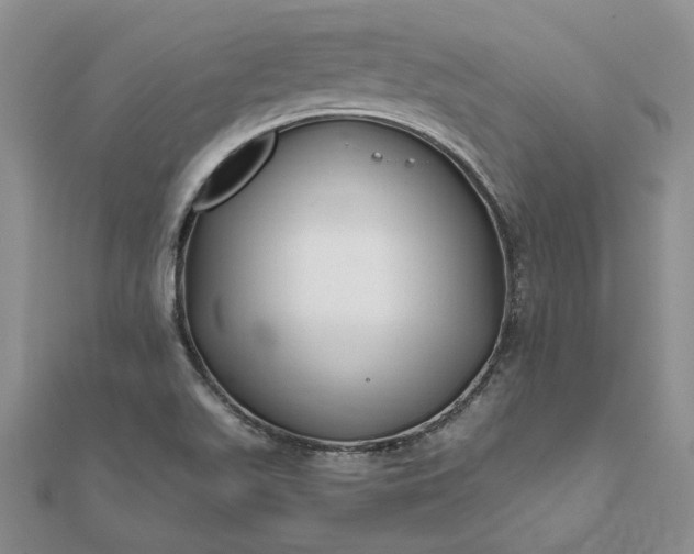 X0000111671511200907311148