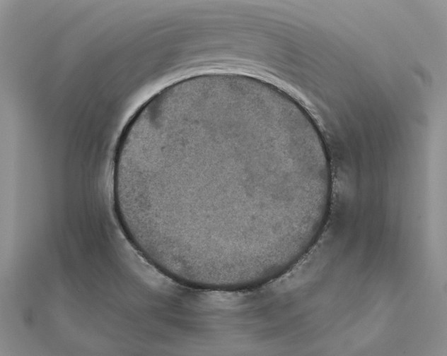 X0000111671514200907311148