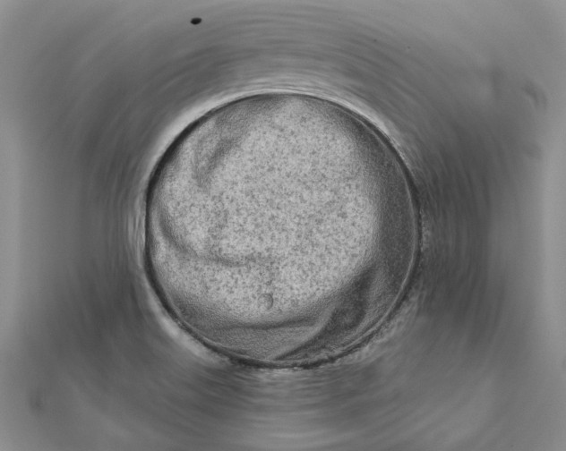 X0000111671515200907311148