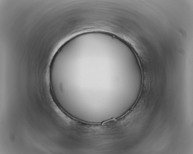 X0000111671516200907311148