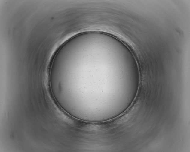 X0000111671517200907311148