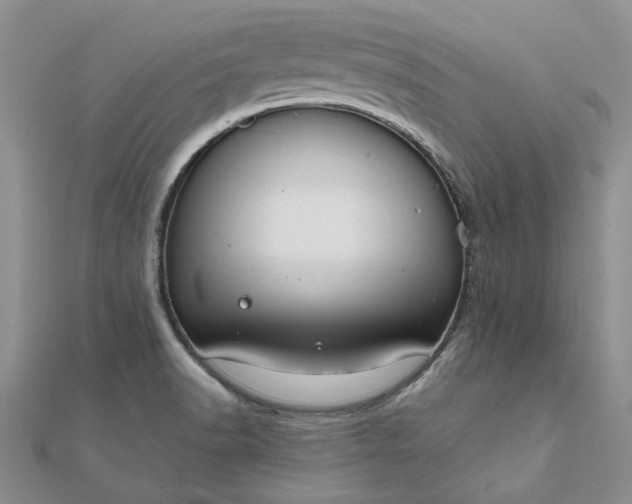 X0000111671518200907311148