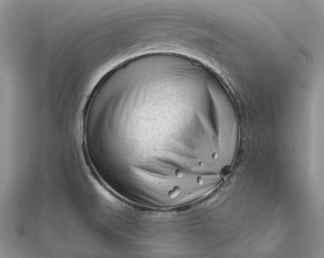 X0000111671519200907311148