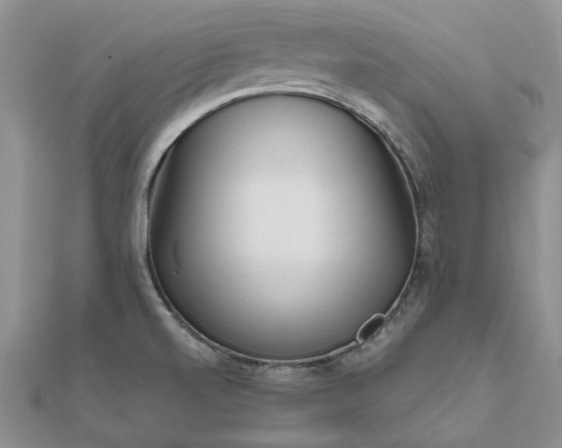 X0000111671520200907311148