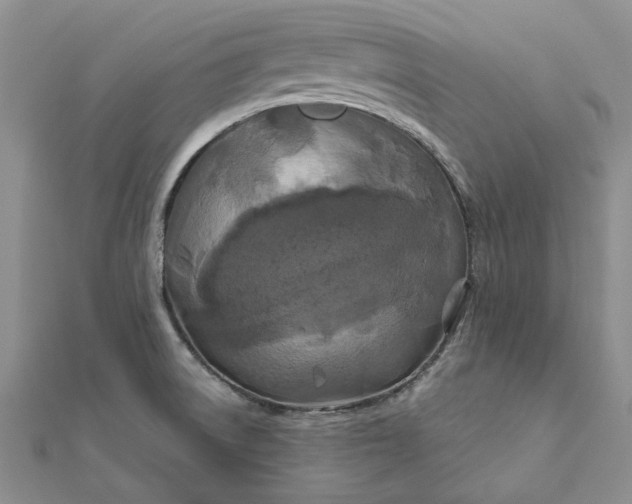 X0000111671522200907311148