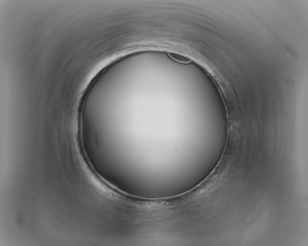 X0000111671523200907311148