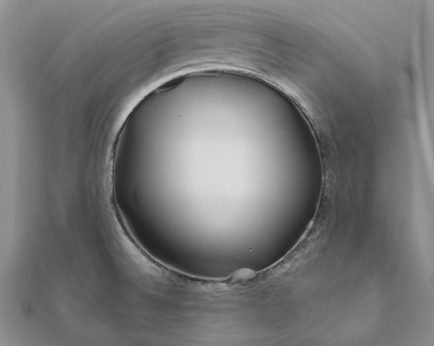 X0000111671524200907311148