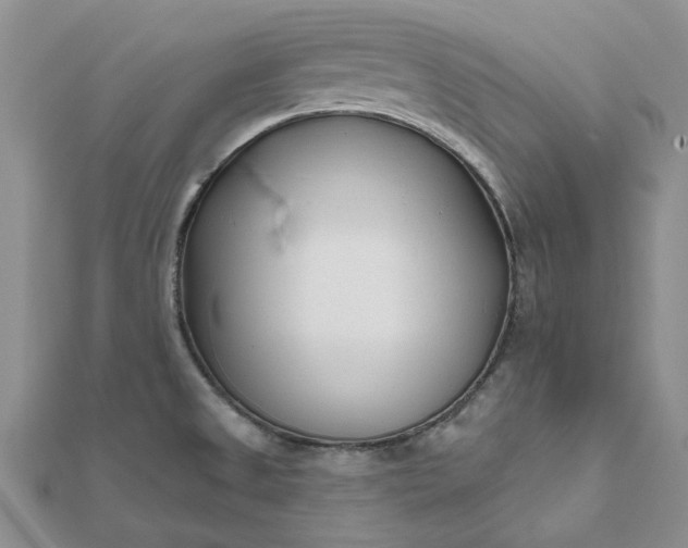 X0000111671525200907311148