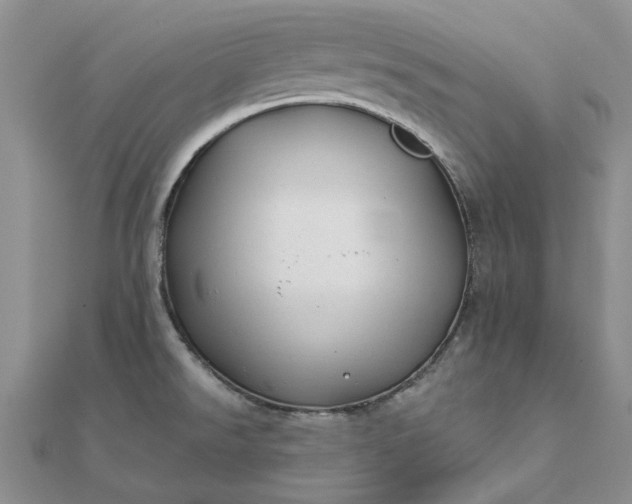 X0000111671526200907311148