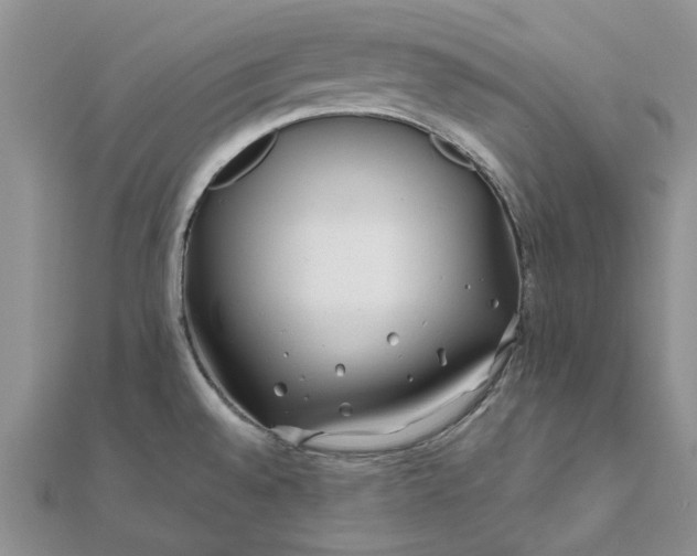 X0000111671528200907311148