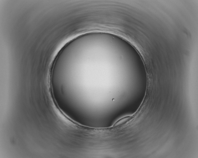 X0000111671531200907311148