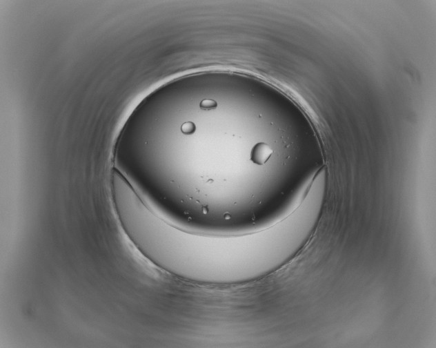 X0000111671532200907311148